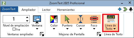 página Ampliador de zoomText con el foco en el botón Línea de texto.
