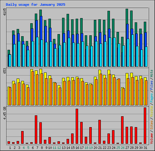 Daily usage for January 2025