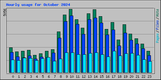 Hourly usage for October 2024