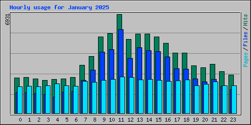 Hourly usage for January 2025