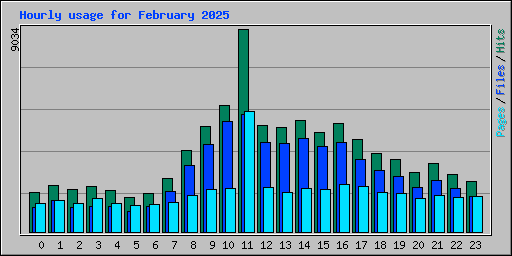 Hourly usage for February 2025