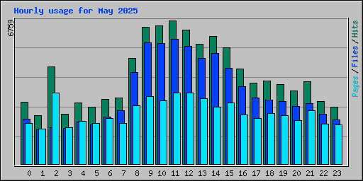 Hourly usage for May 2025