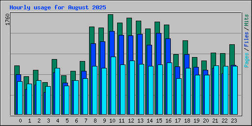 Hourly usage for August 2025