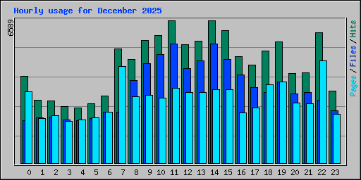 Hourly usage for December 2025