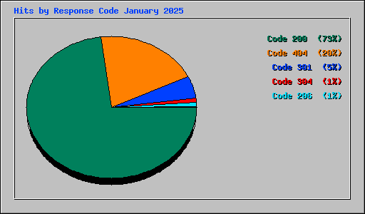 Hits by Response Code January 2025